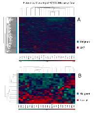 Figure 3:  Hierarchical clustering of the 26-genes signature panel and the independent datasets. 