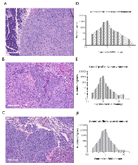 Figure 2: Characteristics of the rat model. 