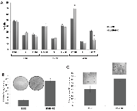 Figure 3:  Growth characteristics of BSB8 and BSB8-RR cells. 