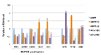 Figure 1: Repression of selected MNP300 panel genes by MYC and Tip60 shRNA. 