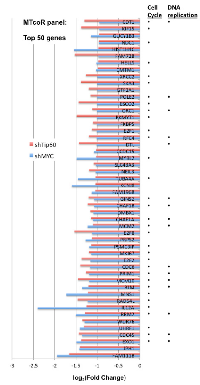 Figure 2:  Repression of the top 50 genes from the MTcoR panel by shMYC and shTip60. 