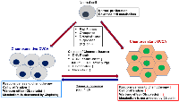 Figure 1: Reprogramming tumor metabolism in chemoresistant OVCA. 