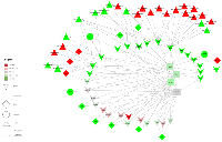 Figure 3: Receptor, cytokine, and hormone interactions and associated miRNAs in the JAK-STAT signaling pathway. 