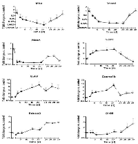 Figure 3: mRNA expressions pattern during all stages of liver colonization (days 1, 3, 6, 15, 21) as well as during in  