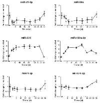 Figure 4:  miRNA expression pattern during all stages of liver colonization (days 1, 3, 6, 15, 21) as well as during in vitro growth of re-isolated ASML PDAC cells (days 24, 27, 30). 