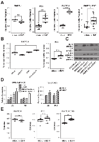 Figure 2: ELF1 represses oncogenic ETS mediated phenotypes in prostate cells. 