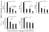 Figure 5:  Collagen expression was significantly reduced after treatment with EC359. 