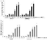 Figure 1: Responses of BEAE-2B cells or keratinocytes to different doses of sodium arsenite treatment. 