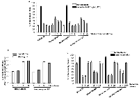 Figure 2:  Mitotic accumulation in response to chronic, low dose sodium arsenite treatment. 