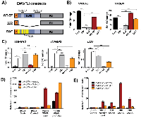 Figure 1: DAF regulation at EWS/FLI target genes is context-dependent. 