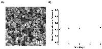 Figure  1: Encapsulation  and  release  kinetics  of  MUC4β-nanovaccine. 
