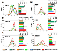 Figure 2:  MUC4β-nanovaccine activates DCs and induces expression of MHC II and co-stimulatory molecules. 