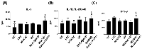 Figure 3:  MUC4β-nanovaccine induces Th1 DC cytokine secretion. 