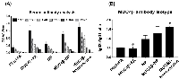 Figure 4:  MUC4β-nanovaccine generates anti-MUC4β Th1 humoral response in mice. 