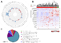 Figure 2:  Global profiling of the cytochromes P450 expression landscape in hepatocellular carcinoma. 
