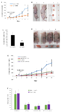 Figure 4:  DmrFABP5 significantly suppressed tumorigenicity in prostate cancer xenografted mice. 