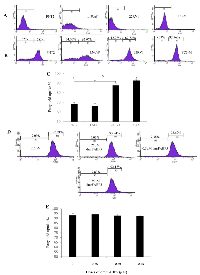 Figure  6:  Fatty  acid  uptake  by  different  prostate  epithelial  cell  lines  and  the  suppressive  effect  of  dmrFABP5  in  PC3-M cells. 