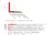 Figure 1: TNC is altered in neuroendocrine prostate cancer tissues. 