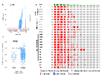 Figure 4: TNC is linked to aggressive tumor promoting phenotype in neuroendocrine prostate cancer cells. 