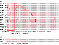 Figure 1: Comparison of amplification, mutations, gain, and high mRNA of HMGA2 and TGF-β pathway core genes. 