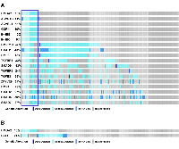 Figure 2:  Comparison of deletions and low mRNA of HMGA2 and TGF-β pathway core genes. 