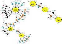 Figure 3: Networks depicting genes regulated by hsa-miR-128 and hsa-miR-223, respectively. 