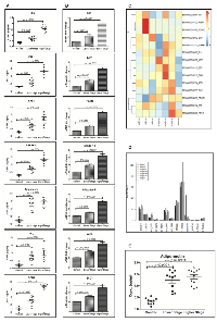 Figure  5:  Enhanced  expression  of  adiponectin  and  lipogenic-molecules  in  higher-stage  hepatocellular  carcinoma  patients’  biospecimens. 