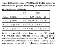 Table 1:  Doubling time of WRO and FTC133 cells after  incubation in glucose-containing complete medium or  in glucose-free medium.