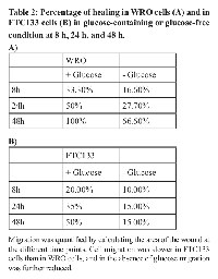 Table 2:  Percentage of healing in WRO cells (A) and in  FTC133 cells (B) in glucose-containing or glucose-free  condition at 8 h, 24 h, and 48 h. A)