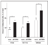 Figure 6:  sNTSR3 increases cancer cells detachment. 