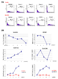 Figure 2:  Serum-free cultures lead to the loss of early  and late development markers and increase of stem- like markers. 