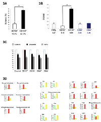 Figure 3:  Colo205 CD133+ cells exhibit the phenotypic  profile of CSCs. 