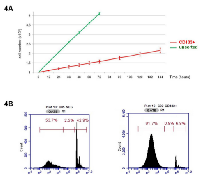 Figure 4:  Growth evaluation of CD133+ cells derived  from Colo205. 