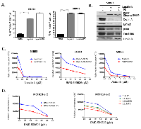 Figure 4:  