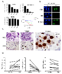 Figure 5:  