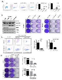 Figure 6:  