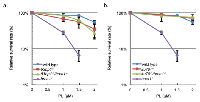 Figure 2:  A deletion of 53BP1 or Ku70 abrogates piperlongumine-induced cytotoxicity in brca1-/-  DT40 cell-line. 