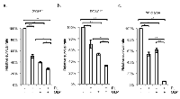 Figure 4:  Effect of PARP-inhibitor olaparib on the cellular sensitivity to piperlongumine in brca1-/-  and brca 2