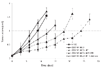 Figure 4:  Treatment with BEZ-235 and RT delays  tumor growth. 