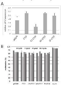 Fig. 5:  CTCF induced reexpression and demethylation  of AATK.