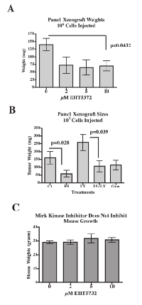 Fig.4:  Mirk kinase inhibitor reduces the size of Panc1  xenografts in athymic mice. 