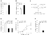 Figure 2:  Role of telomerase activity in Cdk4R/R  mediated cell proliferation and transformation.  