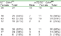 Figure 4: Telomere length and proliferation in islets  from  mTERC-/-   Cdk4R/R and mTERC+/+  Cdk4R/R  mice. 