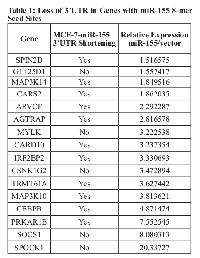 Table 1: Loss of 3’UTR in Genes with miR-155 8-mer  Seed SitesGene
