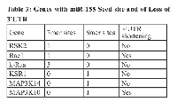 Table 3: Genes with miR-155 Seed site and of Loss of   3’UTR