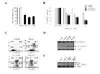 Figure 2:  Additive effects of doxazosin by IFN-α or IFN-γ stimulation. 