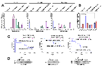 Figure 2:  The effect of the AAFPs on the replating efficiency, CFU-S12 potential and the leukemogenic potential of  ST- and LT-HSC. 