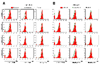 Figure 4:  Activation of STAT proteins in leukemic versus non-leukemic AAFP-positive spleen cells. 