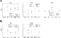Figure 6:  STAT3 and 5 activation in t(6;9), t(15;17) and t(8;21)-positive AML samples. 