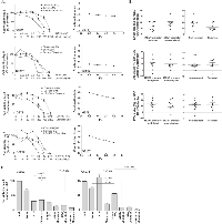 Figure 2A-C:  The effect of Obatoclax on HDACi and radiation treatment in patient-derived GSC cultures. 